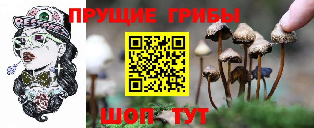 Галлюциногенные грибы MAGIC MUSHROOMS Санкт-Петербург