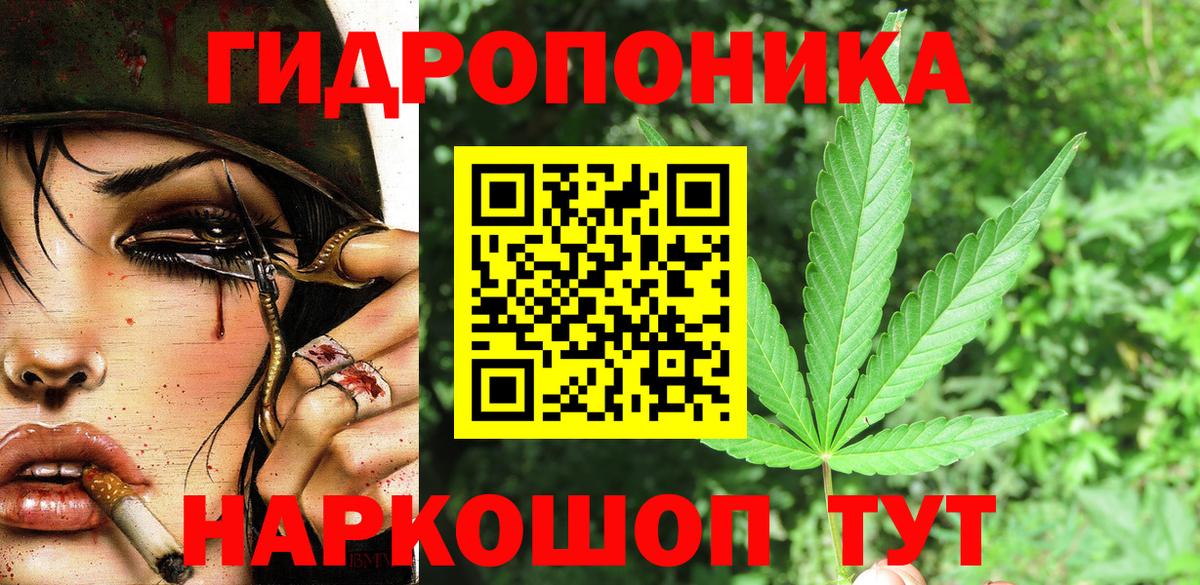Бошки марихуана Amnesia  Вход с VPN  Санкт-Петербург  Каннабис марихуана  Марихуана сатива 